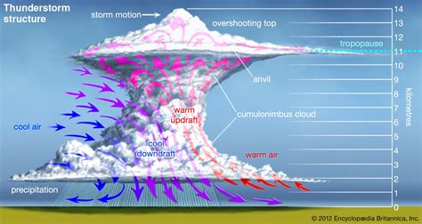 Definition of 'to weather the storm' .